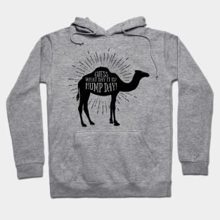 What Day Is It? Hump Day! Hoodie